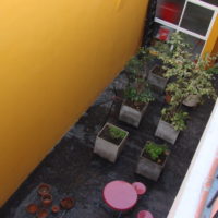 DSC06694