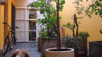 DSC06682