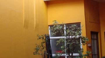 DSC06684
