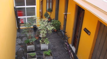 DSC06696